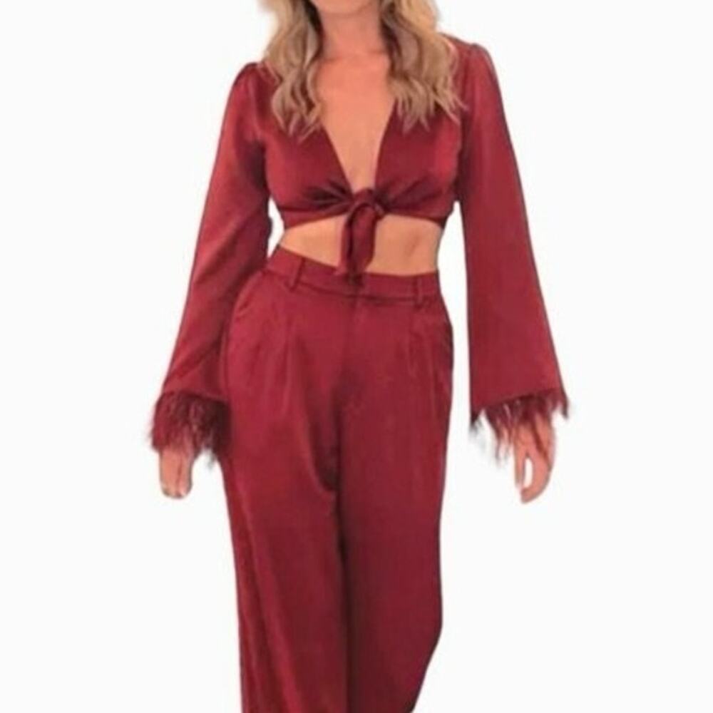 WAYF Cropped Top XS Deep Wine Plunge V-Neck Tie Front Feather Cuff Long Sleeves